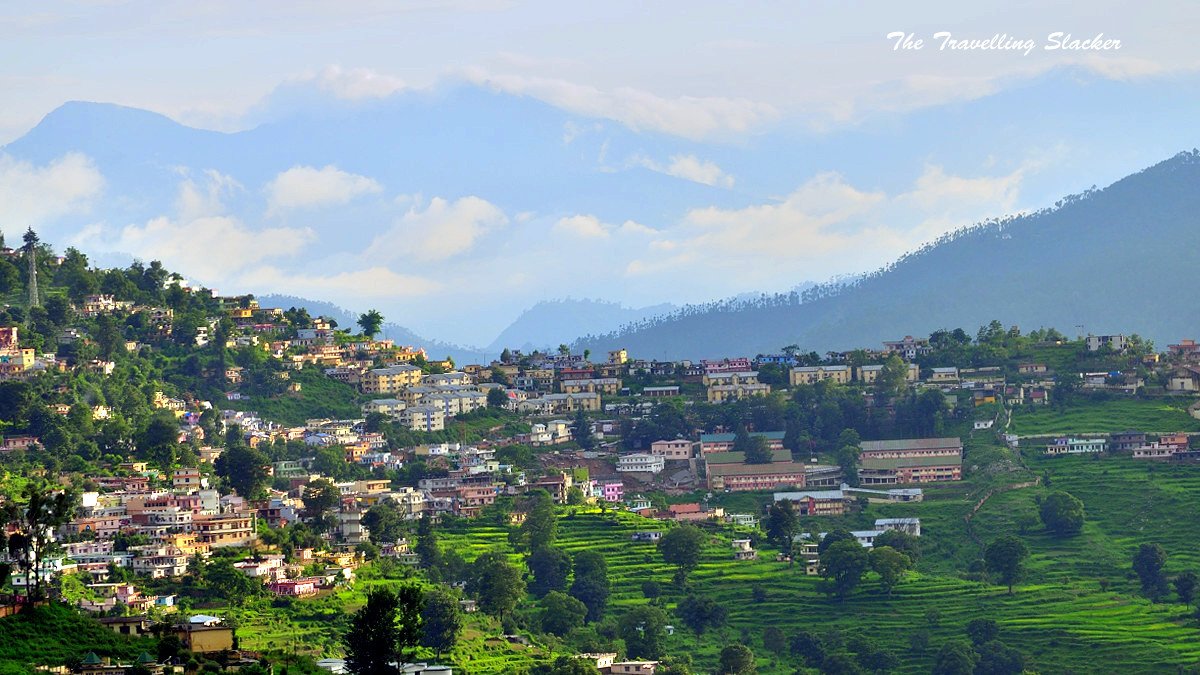 Mountain ridge and traditional pine valleys in Almora